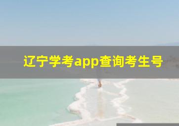 辽宁学考app查询考生号