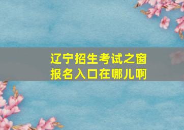 辽宁招生考试之窗报名入口在哪儿啊