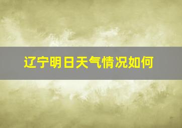 辽宁明日天气情况如何