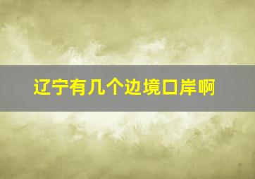 辽宁有几个边境口岸啊