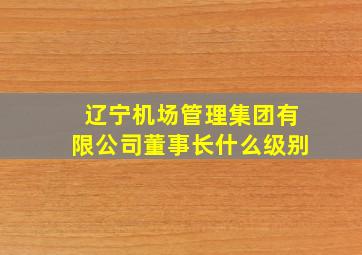 辽宁机场管理集团有限公司董事长什么级别