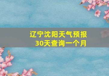 辽宁沈阳天气预报30天查询一个月