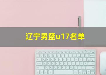 辽宁男篮u17名单