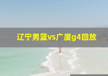 辽宁男篮vs广厦g4回放