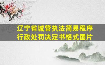 辽宁省城管执法简易程序行政处罚决定书格式图片