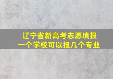 辽宁省新高考志愿填报一个学校可以报几个专业