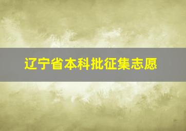 辽宁省本科批征集志愿