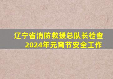 辽宁省消防救援总队长检查2024年元宵节安全工作