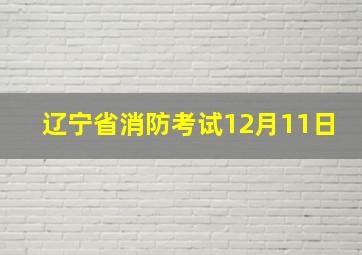 辽宁省消防考试12月11日