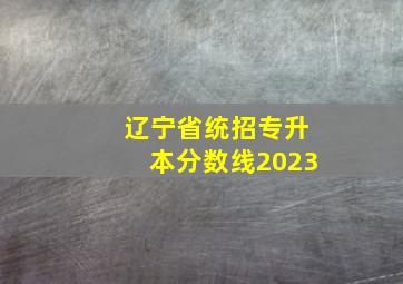 辽宁省统招专升本分数线2023