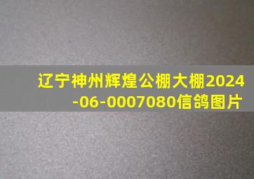 辽宁神州辉煌公棚大棚2024-06-0007080信鸽图片