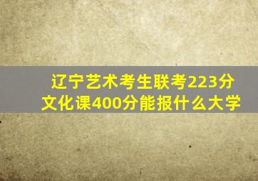 辽宁艺术考生联考223分文化课400分能报什么大学