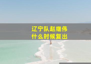 辽宁队赵继伟什么时候复出