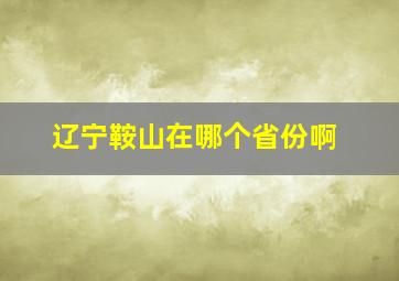 辽宁鞍山在哪个省份啊