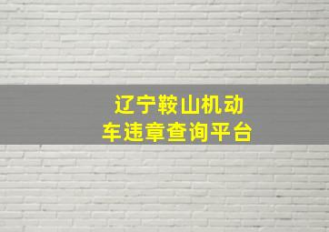 辽宁鞍山机动车违章查询平台