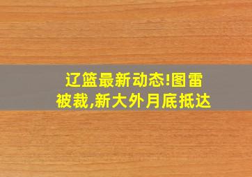 辽篮最新动态!图雷被裁,新大外月底抵达