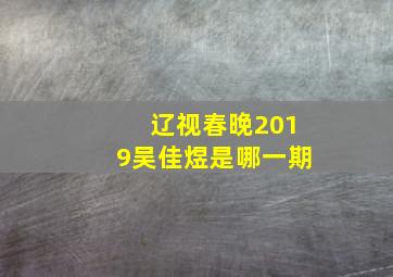 辽视春晚2019吴佳煜是哪一期