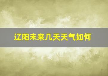 辽阳未来几天天气如何