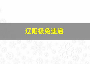 辽阳极兔速递