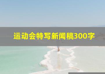 运动会特写新闻稿300字