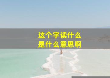 这个字读什么是什么意思啊