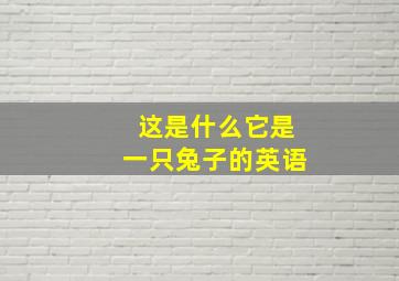 这是什么它是一只兔子的英语