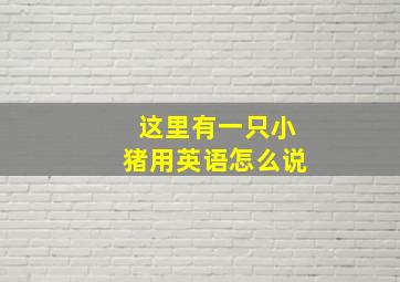 这里有一只小猪用英语怎么说