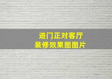 进门正对客厅装修效果图图片