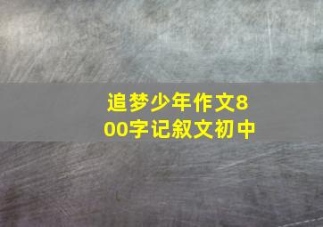 追梦少年作文800字记叙文初中