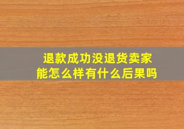 退款成功没退货卖家能怎么样有什么后果吗