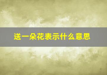 送一朵花表示什么意思