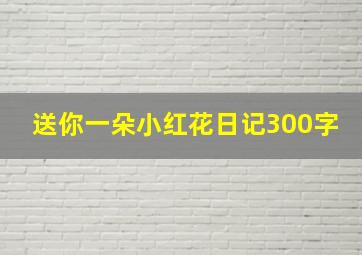 送你一朵小红花日记300字