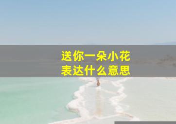 送你一朵小花表达什么意思