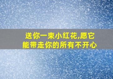 送你一束小红花,愿它能带走你的所有不开心