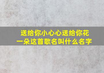 送给你小心心送给你花一朵这首歌名叫什么名字