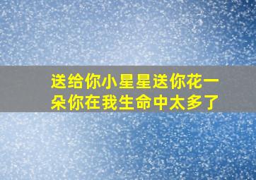 送给你小星星送你花一朵你在我生命中太多了