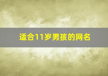 适合11岁男孩的网名