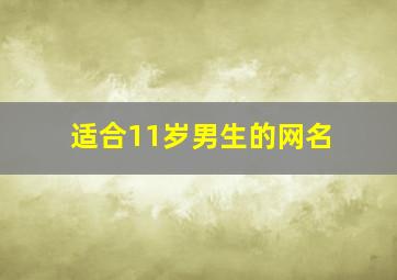 适合11岁男生的网名