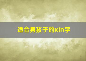 适合男孩子的xin字