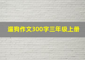 遛狗作文300字三年级上册