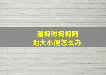 遛狗时狗狗随地大小便怎么办