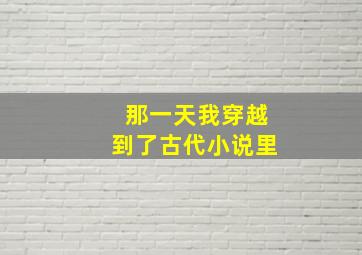 那一天我穿越到了古代小说里