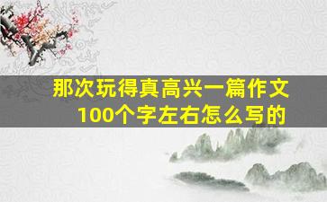 那次玩得真高兴一篇作文100个字左右怎么写的