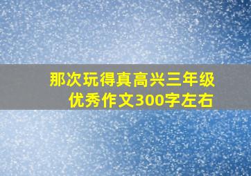 那次玩得真高兴三年级优秀作文300字左右