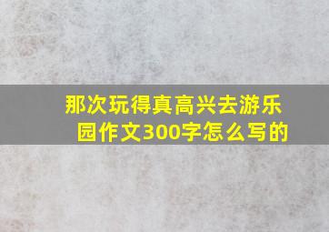 那次玩得真高兴去游乐园作文300字怎么写的