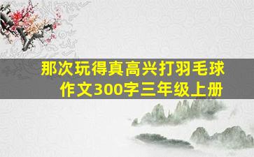 那次玩得真高兴打羽毛球作文300字三年级上册