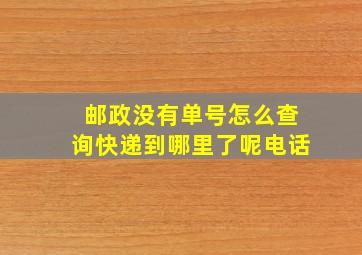 邮政没有单号怎么查询快递到哪里了呢电话