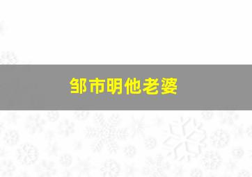 邹市明他老婆