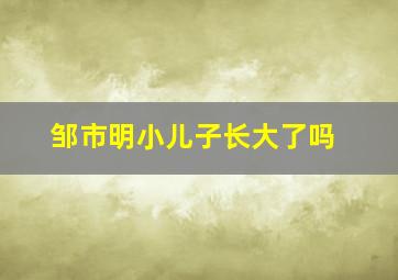 邹市明小儿子长大了吗