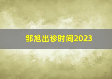 邹旭出诊时间2023